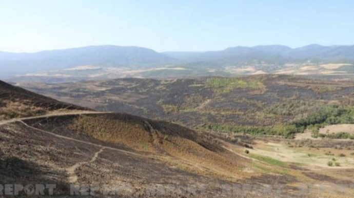 Şabranın bəzi kəndlərində yanğınlar söndürüldü - FOTO 