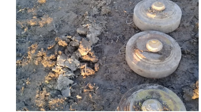 Ermənilərin cəbhəboyu ərazilərdə basdırdıqları minalar zərərsizləşdirildi  - FOTO