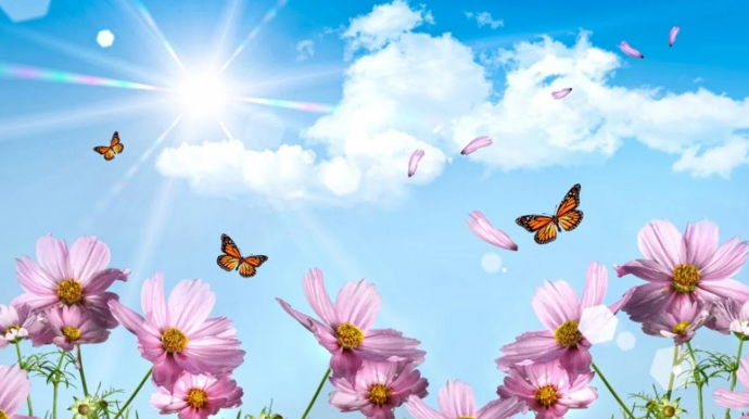 Прогноз погоды в Азербайджане на 10.04.2026