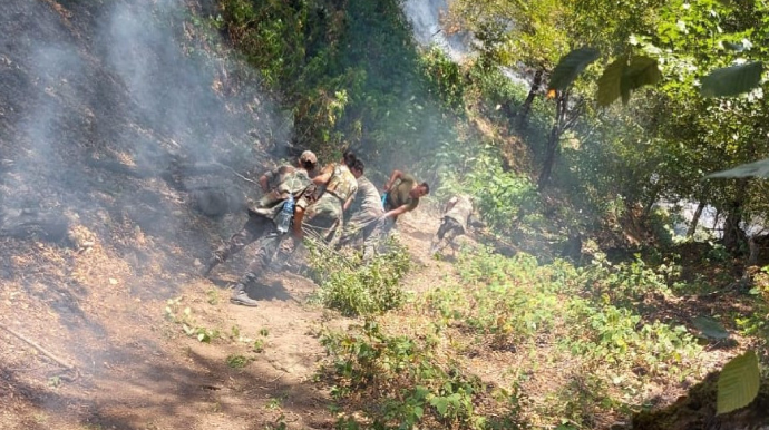 FHN: Zaqatalada meşə yanğınının yayılmasının qarşısı alınıb  - VİDEO