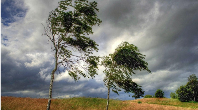 Sabah hava yağmursuz keçəcək, külək əsəcək 