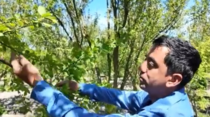 Bu il bazarlarda alça tapılmayacaq? - VİDEO