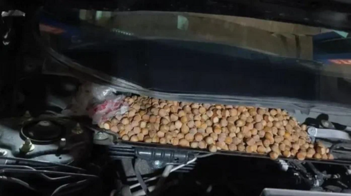 Çində avtomobilin fərqli hissələrindən 18 kiloqram fındıq çıxdı