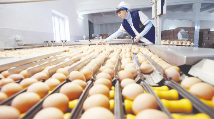 Qiymətlər rekord həddə enə bilər: Yumurta bazarında nə baş verir? 