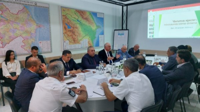 Bakıda 200-dən artıq qurumuş və qəzalı ağacın götürülməsinə dair ictimai dinləmə keçirilib  - FOTO