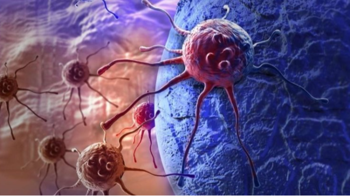 Bu meyvə xərçəngə qarşı gizli silah imiş 