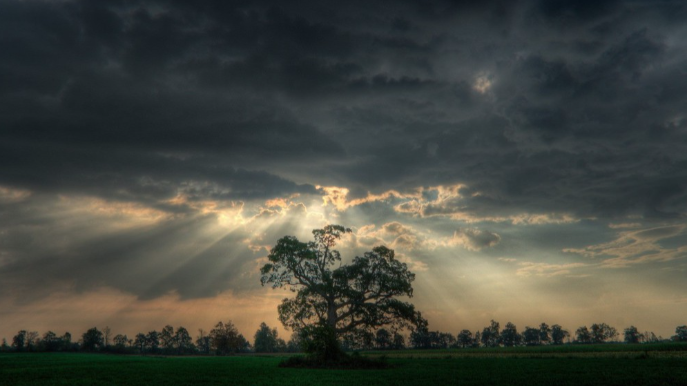 Sabahın hava proqnozu açıqlandı