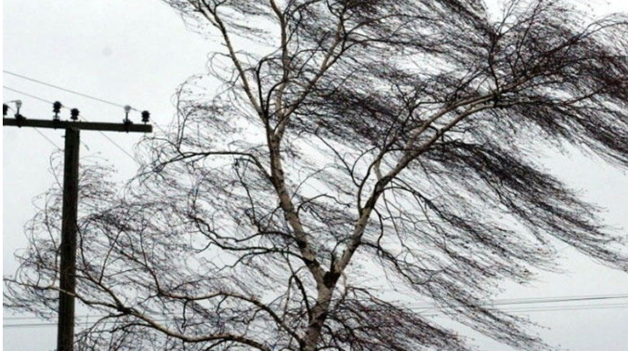 Külək Qaxda məktəbin damını uçurdu  - FOTO