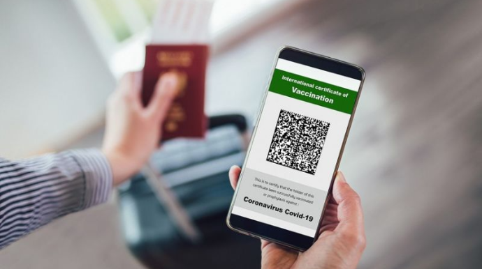 TƏBİB rəsmisindən saxta pasport açıqlaması  - VİDEO