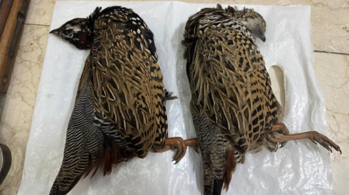 Qanunsuz ov edən şəxs tutuldu 