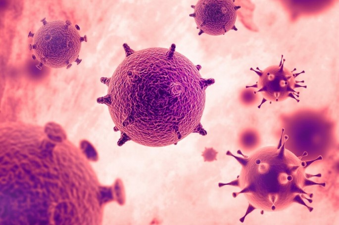 “Koronavirus yüksək istilikdə də yaşayır”