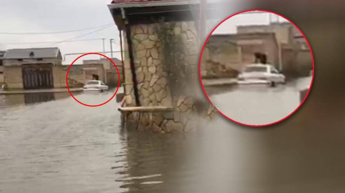 Bakıda tragikomik olay!  - Əlacsız sürücü maşının üstünə çıxdı - VİDEO 