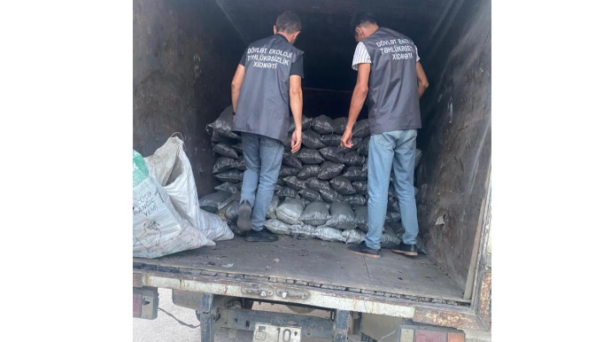 Qanunsuz istehsal edilən 350 kisə kömür aşkarlanıb 
