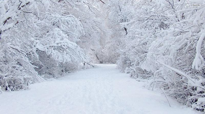 Qar yağıb, şaxta olub - FAKTİKİ HAVA 