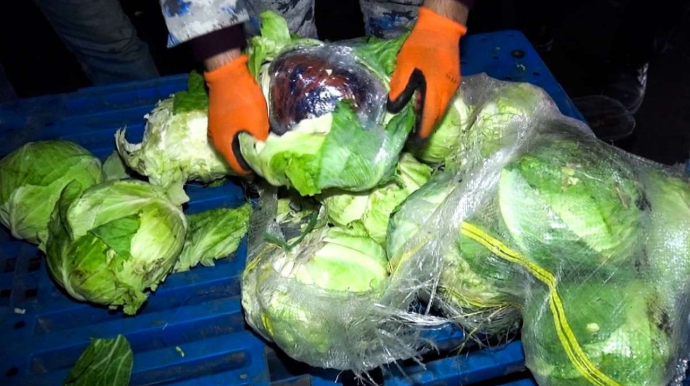 Kələm yükündən narkotik aşkarlandı - FOTO