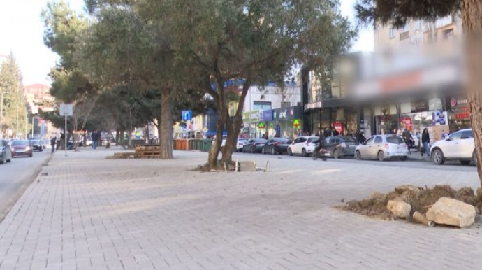 Bakıda yaşıllıq məhv edilərək yerində restoran tikiləcək? - VİDEO 