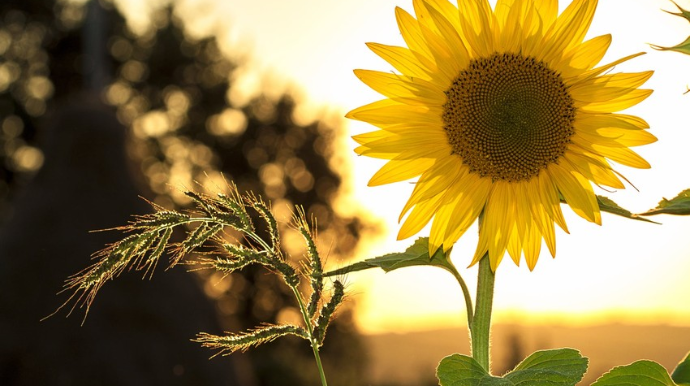 Sabah 32 dərəcə isti olacaq