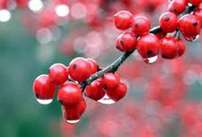 Bu gün Azərbaycanda yağış yağacaq