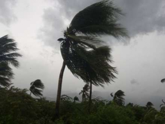 740 aviareys təxirə salındı