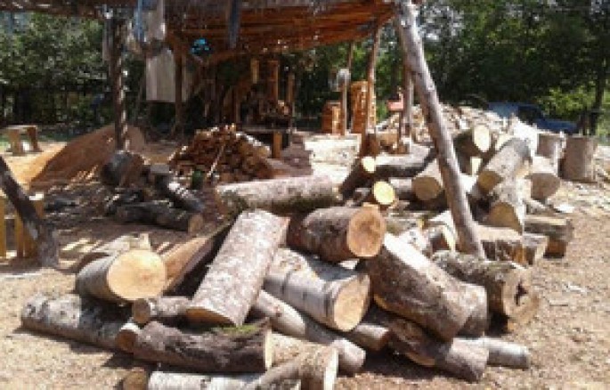 Bir “Kamaz” ağac tutuldu - Masallıda