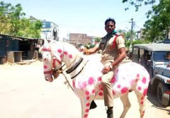 Polis məmuru atı “koronavirus”a çevirib kənd-kənd dolaşdı - VİDEO