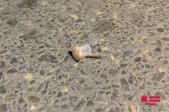 İki marşrut xəttinin sahibini qətlə yetirən "Hozu Rauf" saxlanılıb - VİDEO