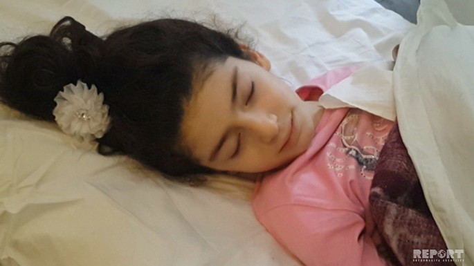 Aşan ağacın altında qalan məktəbli qız ağır xəsrət alıb - Sumqayıtda