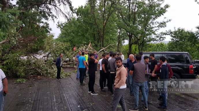 Göyçayda güclü külək nəticəsində 2 nəfər xəsarət aldı  - FOTO - YENİLƏNİB