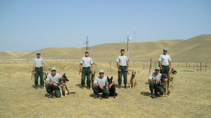ABŞ Azərbaycana daha 30 minaaxtaran it göndərəcək