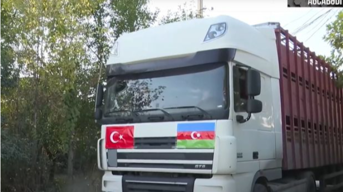 Gürcüstanda yaşayan soydaşlarımızdan orduya dəstək  - VİDEO