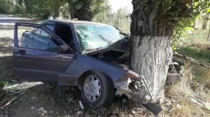 В Огузском районе легковой автомобиль врезался в дерево