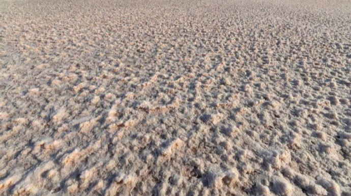 Azərbaycanın çəhrayı su hövzəsi: Şəfalı Masazır gölü  - FOTO