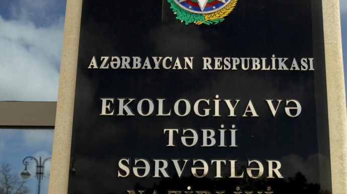 Xətai rayonunda ağacları kəsən şirkət cəzalandırılıb 