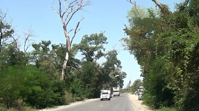 Sürücülərin kabusuna çevrilən yol - VİDEO