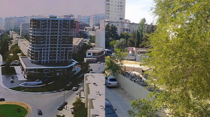 Bakıda çoxmərtəbəli bina tikmək üçün ağaclar məhv edildi   - FOTO