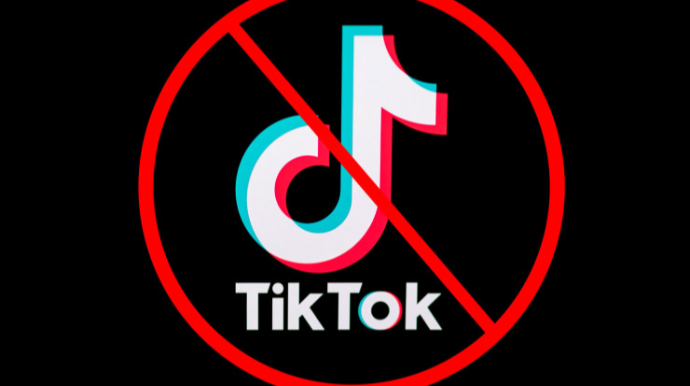 Bu ölkələrdə məmurlara "Tiktok" qadağan edildi 