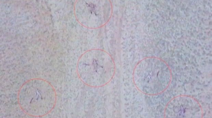 Talış kəndi ətrafındakı əlverişli yüksəkliklər düşməndən təmizləndi - RƏSMİ + VİDEO 