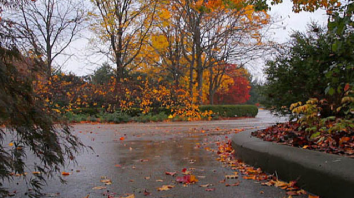 Прогноз погоды в Азербайджане на 26 октября