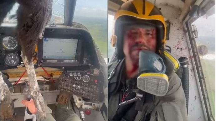 Havada dəhşət:  Kabinəyə girən gözlənilməz qonaq pilotu yaraladı - VİDEO 