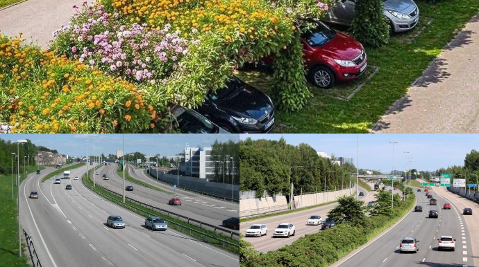 Yol təhlükəsizliyində təbii alternativ - FOTO