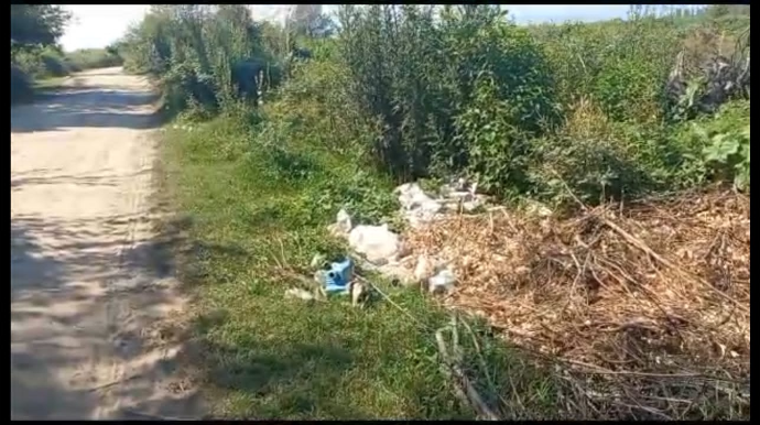 Balakəndə vəzifəli şəxslər inzibati məsuliyyətə cəlb ediliblər - FOTO