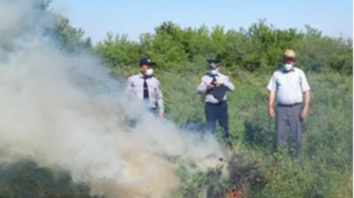 Ağsuda 1 ton çətənə kolu yandırılıb - FOTO 