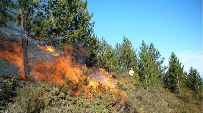 Kəlbəcərdə açıq ərazidə yanğın baş verib - Əraziyə polislər cəlb olunub