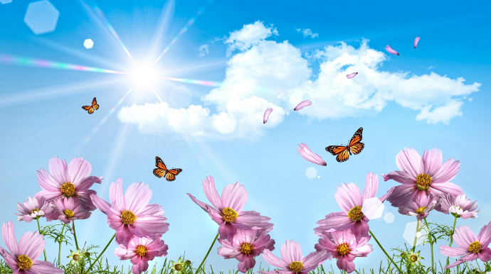 Sabah Bakıda hava yağmursuz olacaq