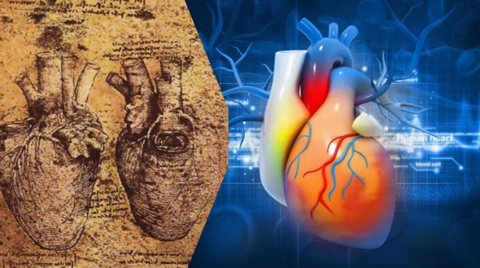 Alimlər Leonardo da Vinçinin ürək rəsmlərindəki 500 illik sirri açdı 