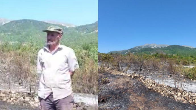 İsmayıllıda qəsdən yanğın törədən şəxs müəyyənləşdi - VİDEO 