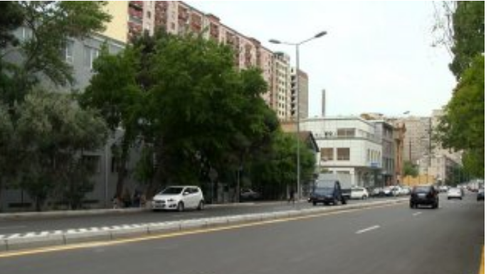 Bakıda ağacların zədələnməsinə görə sahə rəisi cəzalandırıldı 