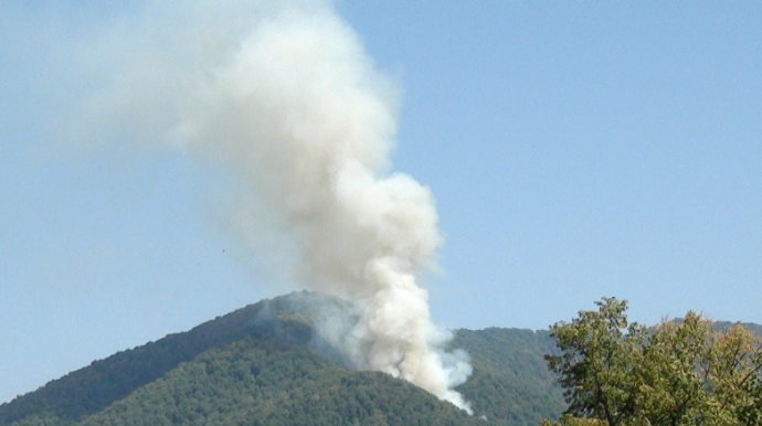 Zaqataladakı yanğın nəzarət altına alınıb