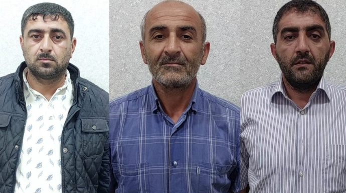 Lənkəranda meşədən mal-qara oğurlayanlar həbs edilib 