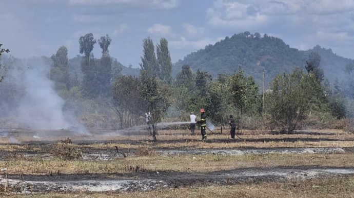 Lənkəranda yanğın törədən şəxs məsuliyyətə cəlb edildi 